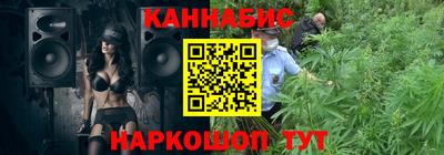шишки Тулун