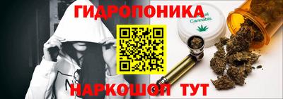 шишки Тулун
