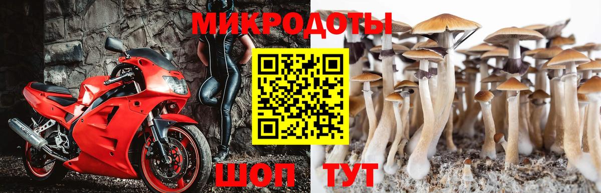 Галлюциногенные грибы MAGIC MUSHROOMS  Вход с VPN  Всеволожск  Галлюциногенные грибы мухоморы 